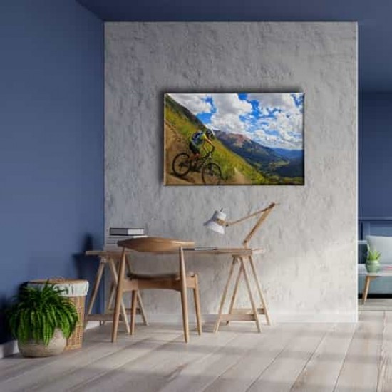 Dağ Bisikleti Canvas Tablo