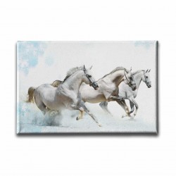 Beyaz At Kanvas Tablo