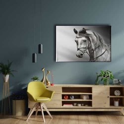 Beyaz At Kanvas Tablo