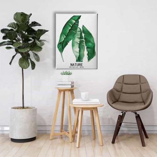 Botanik Canvas Tablo Botanik Canvas Tablo