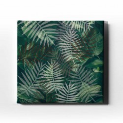 Botanik Canvas Tablo