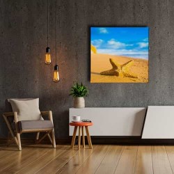 Deniz Yıldızı  Canvas Tablo