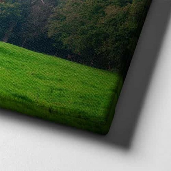 Ağaç Manzara Tablo Ağaç Manzara Tablo