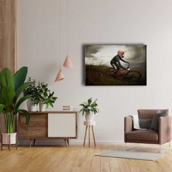 Dağ Bisikleti Tablo Dağ Bisikleti Tablo