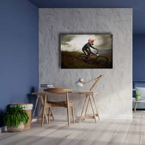 Dağ Bisikleti Tablo Dağ Bisikleti Tablo