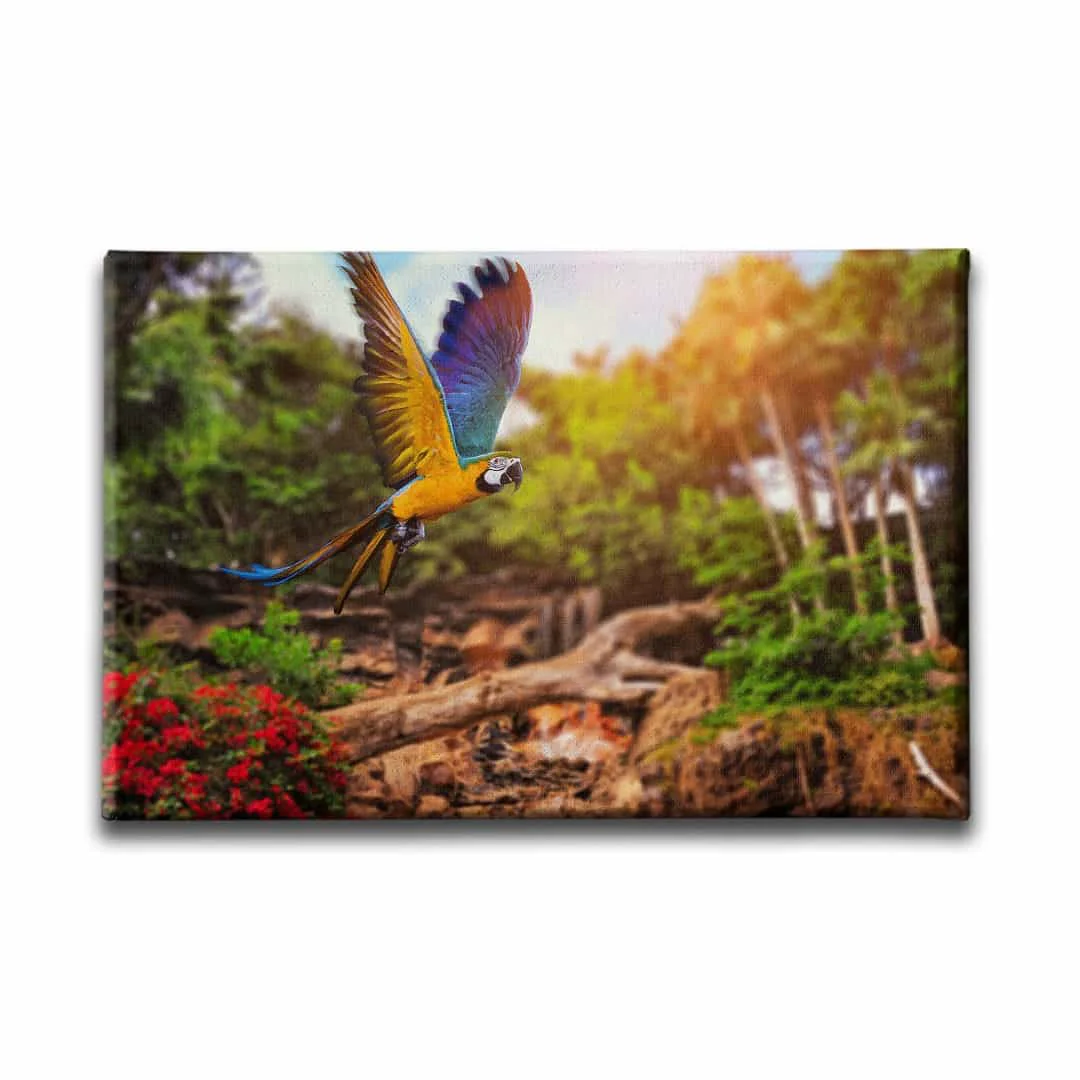 Papagan Kanvas Tablo