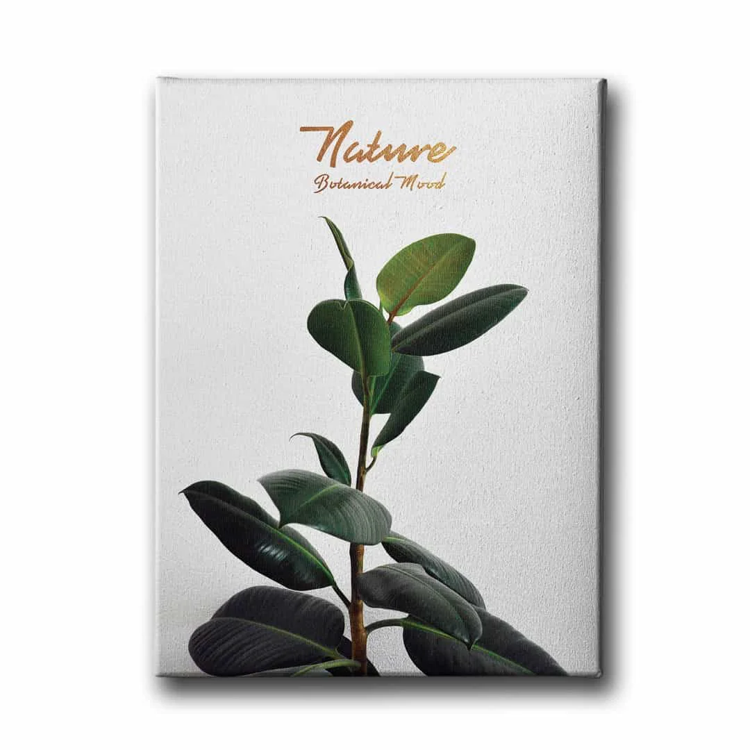Botanik Canvas Tablo