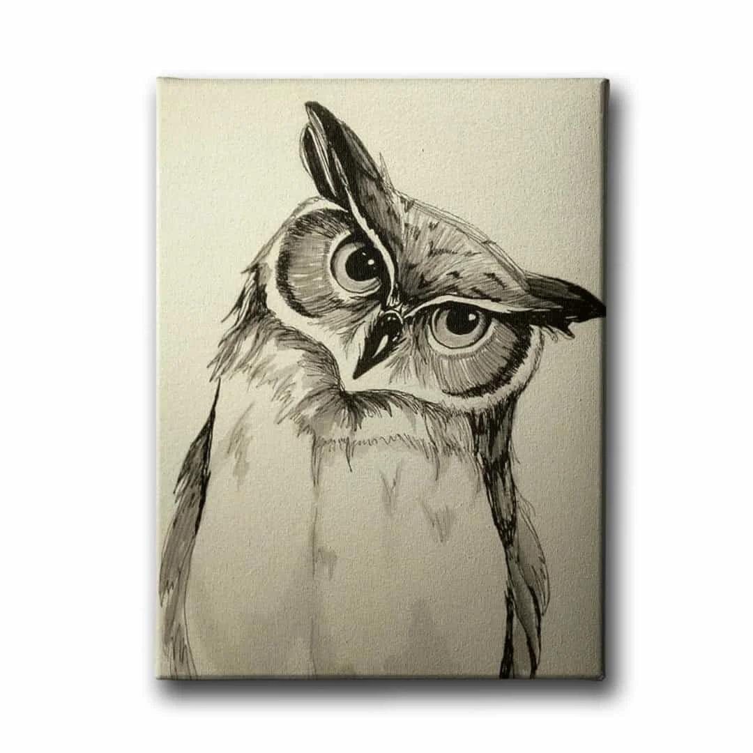 Karakalem Baykus Kanvas Tablo