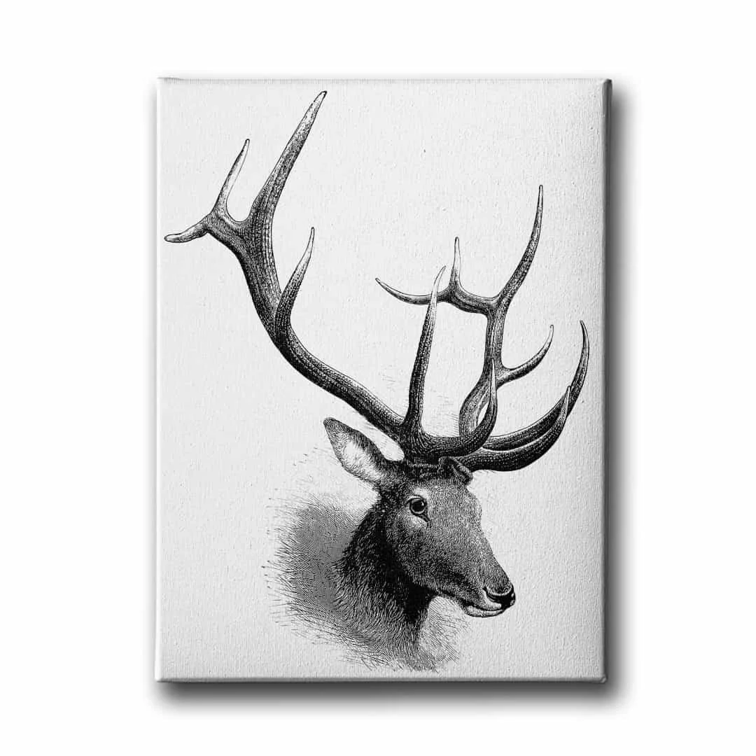 Geyik Kanvas Tablo