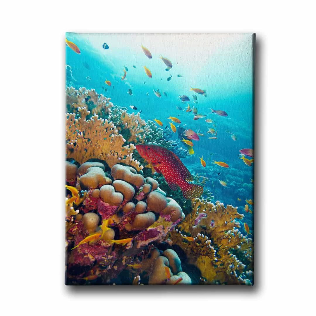 Baliklar Kanvas Tablo