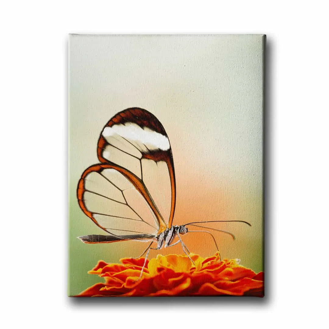 Kanatli Kelebek Kanvas Tablo