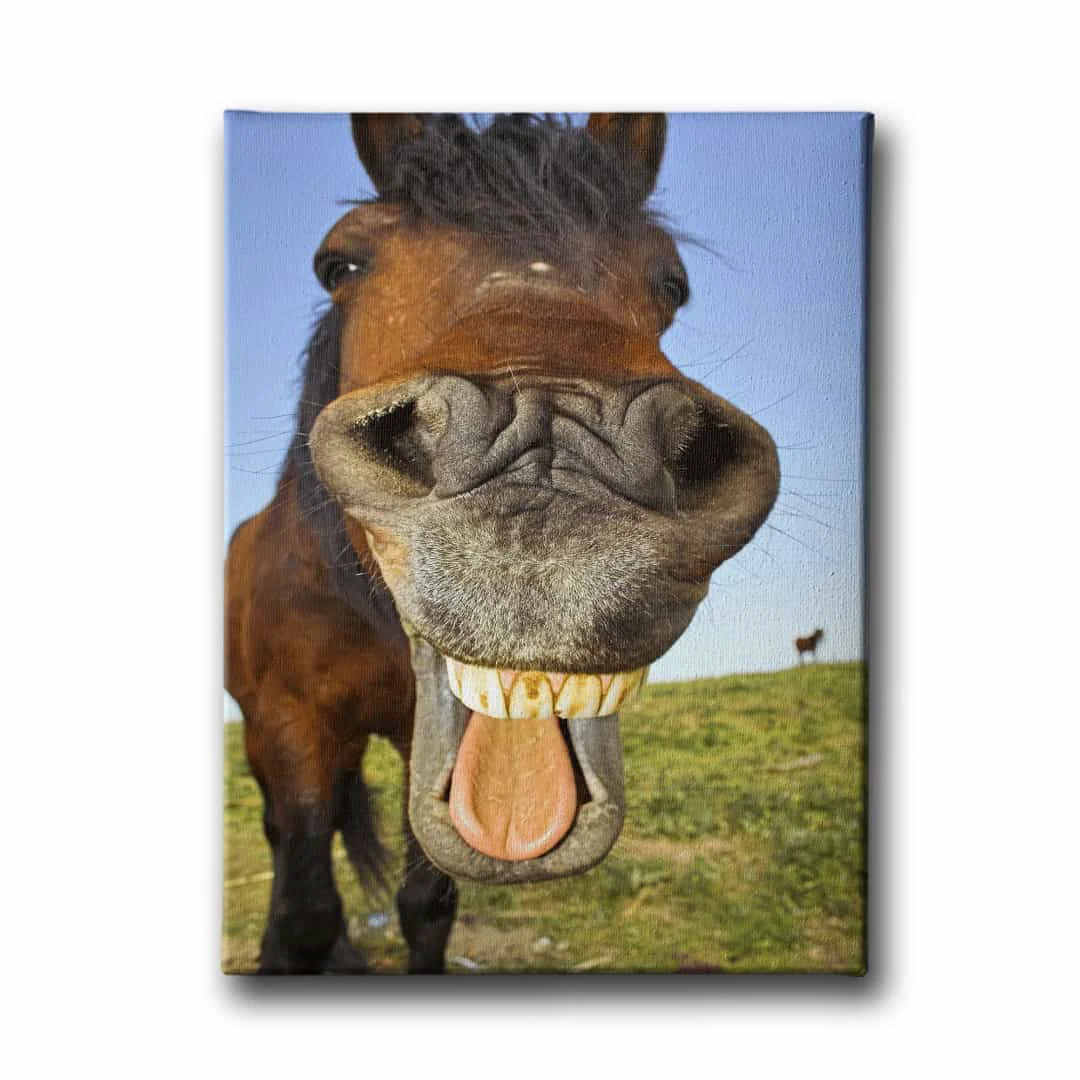 At Agzi Kanvas Tablo