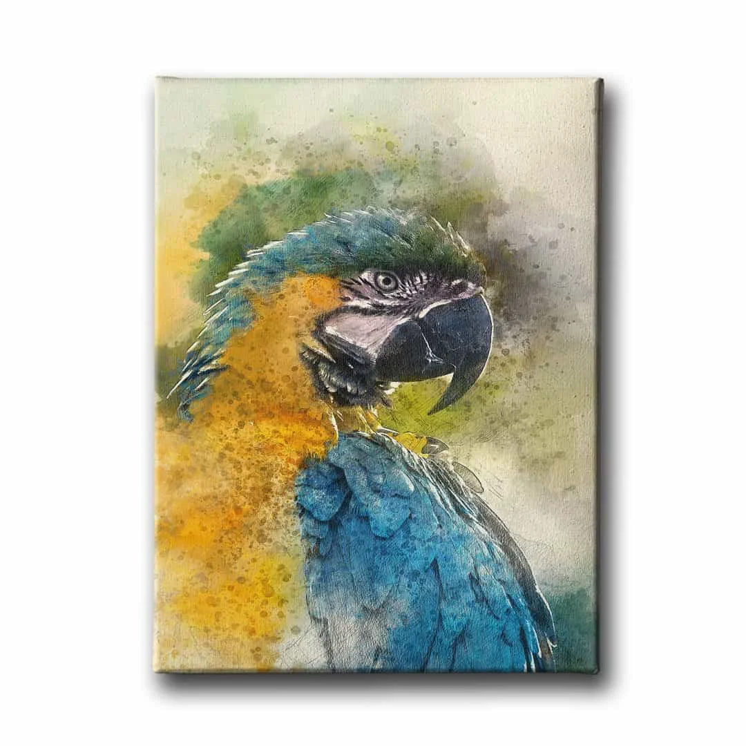 Cennet Papagani Kanvas Tablo