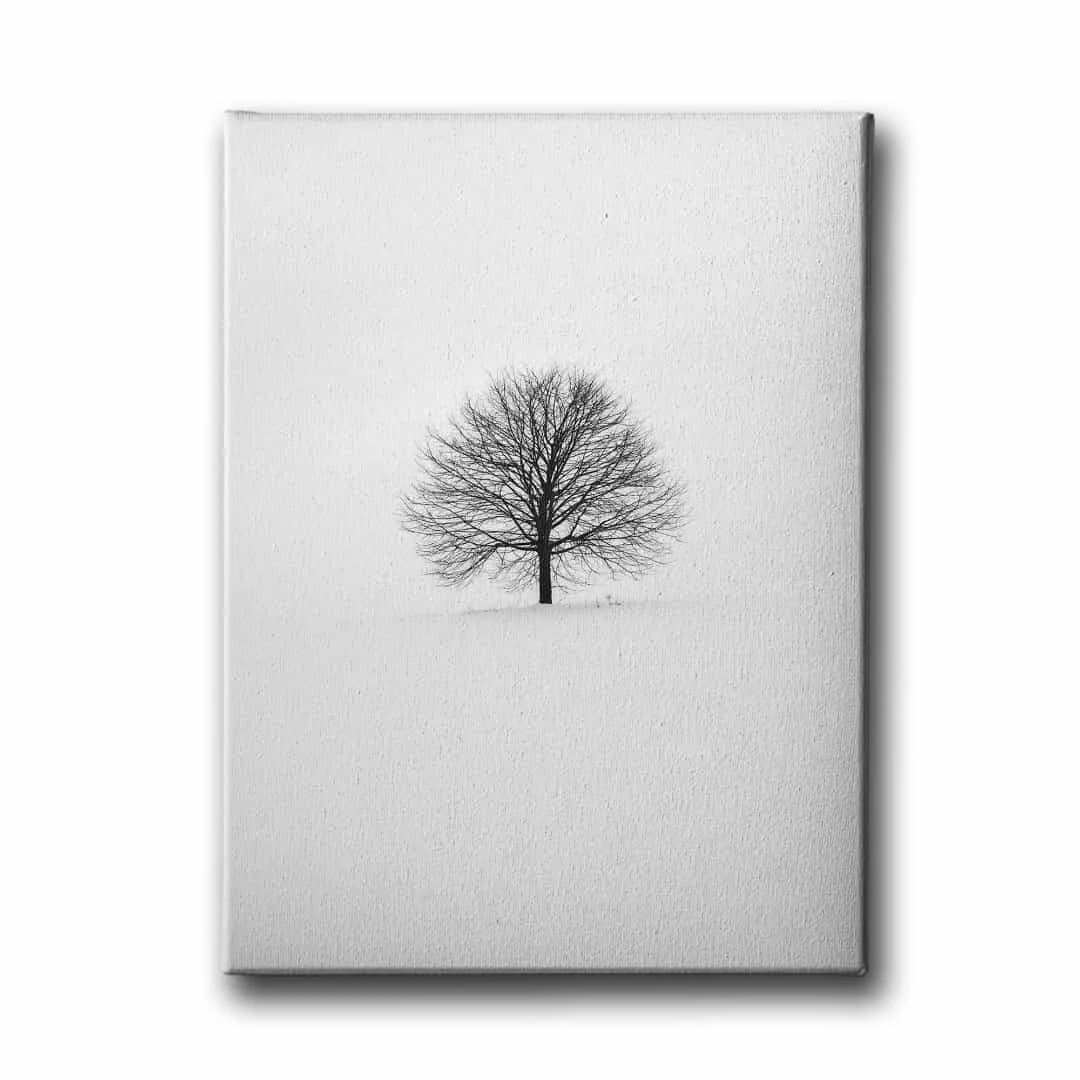 Agac Canvas Tablo