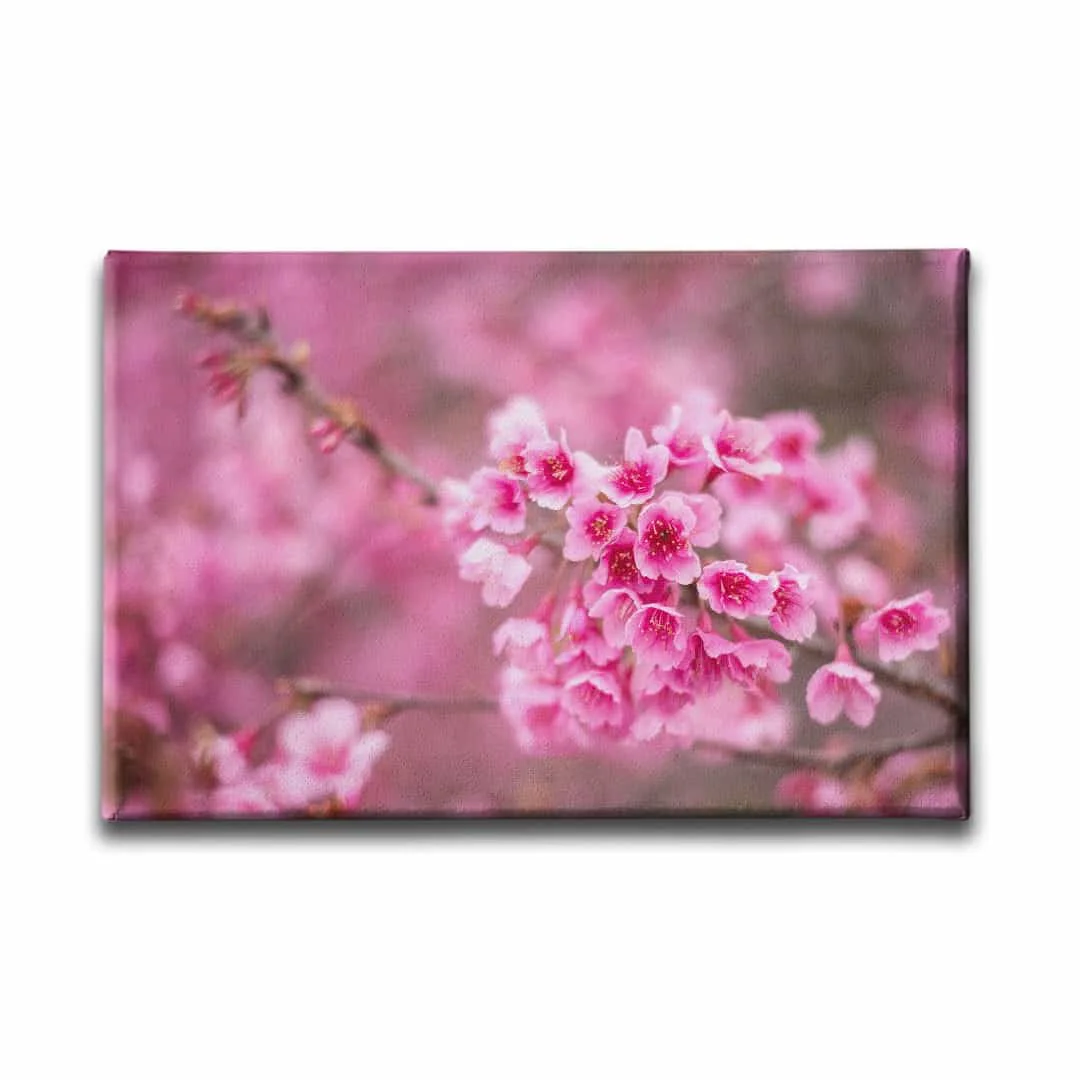 Bahar Cicegi Kanvas Tablo