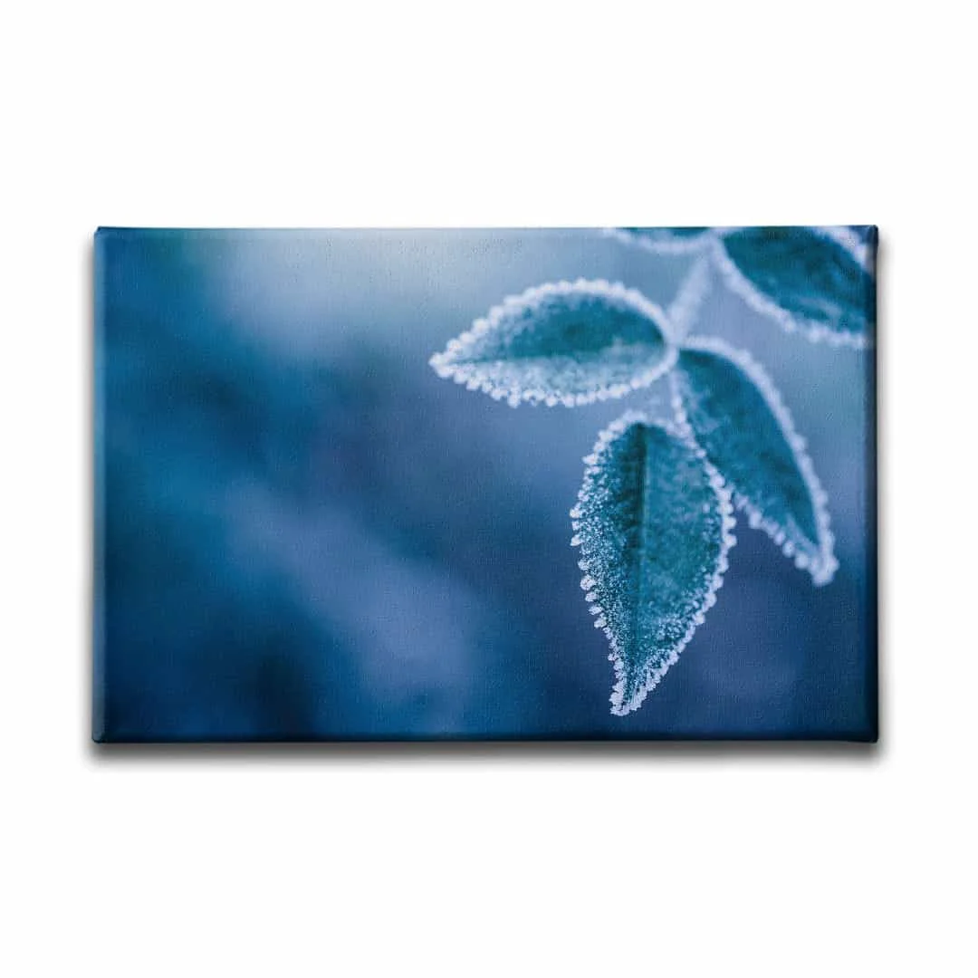 Mavi Yaprakli Tablo
