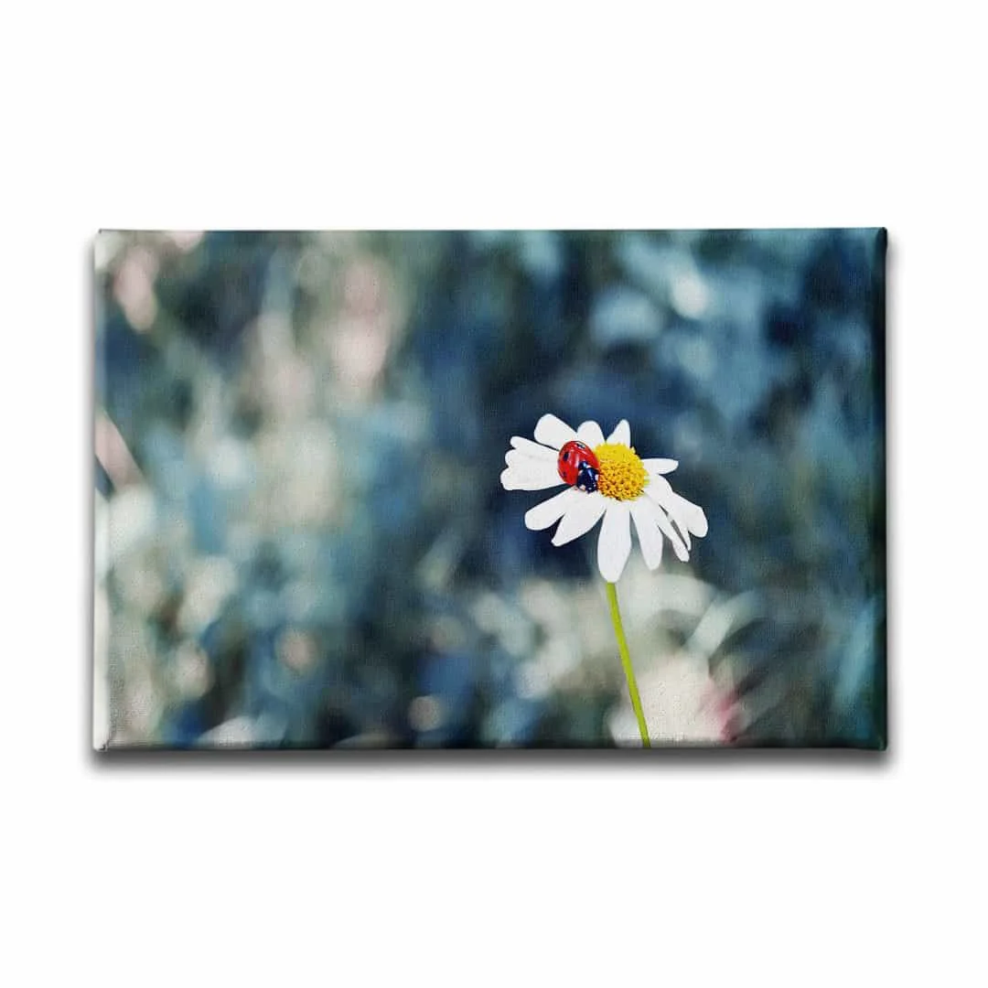 Papatyali Kanvas Tablo