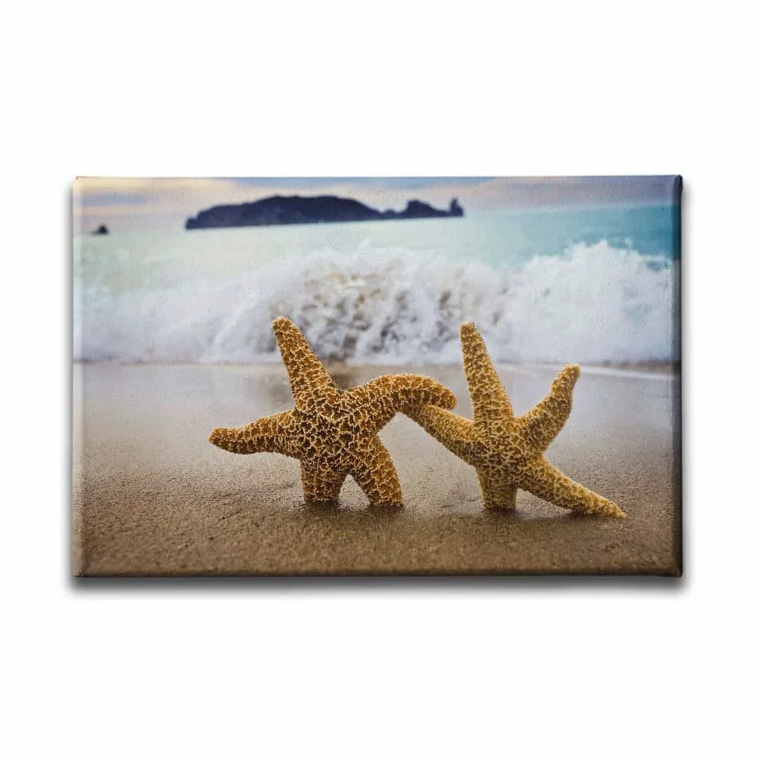 Deniz Yildizi Tablo