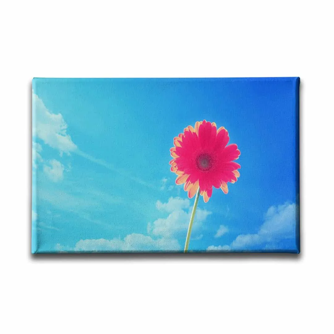 Pembe Kadife Cicegi Tablo