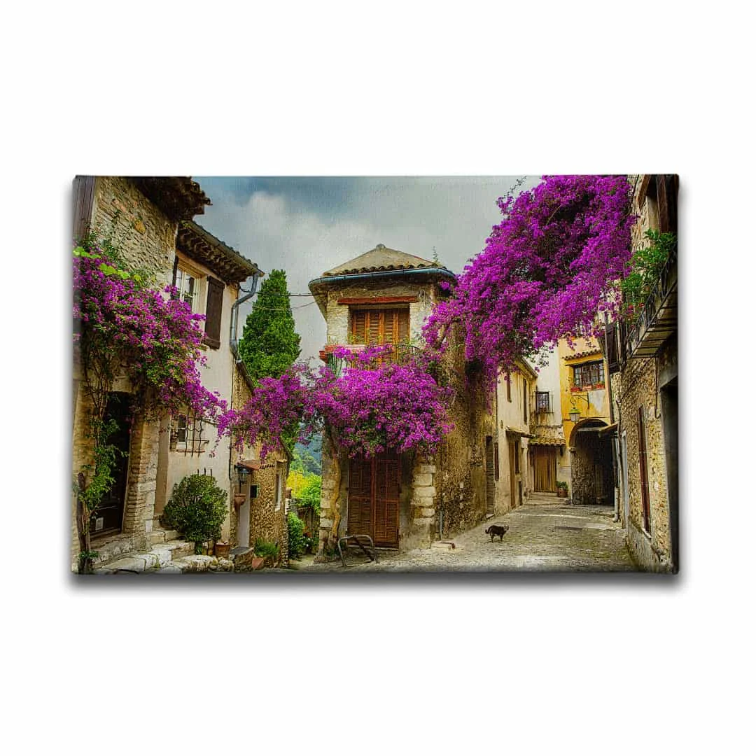 Begonvil Sokagi Manzara Tablo