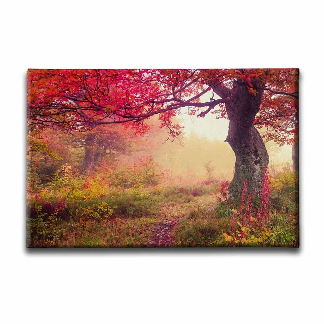 Ilkbahar Manzara Tablo