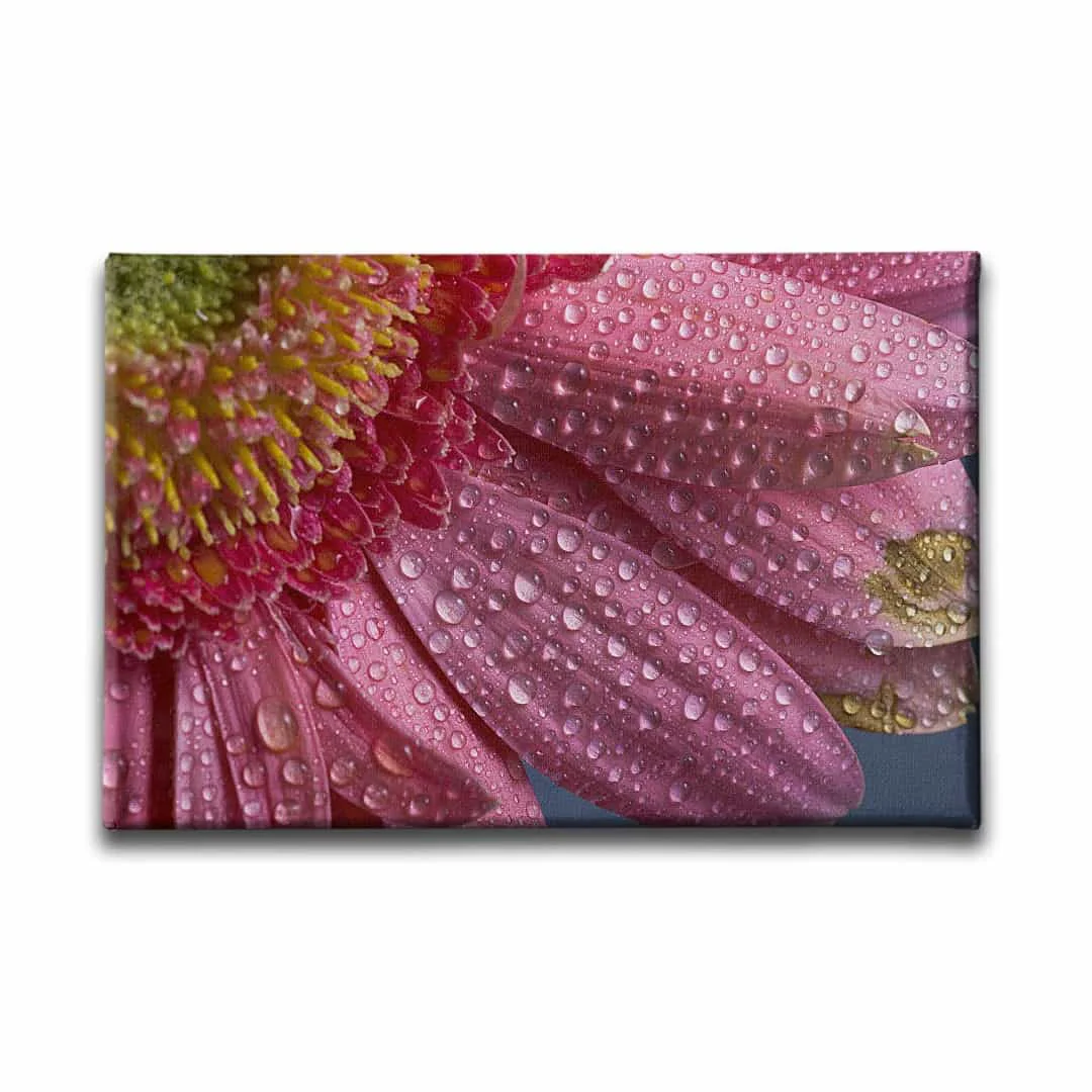 Yagmur Damlali Cicek Tablo