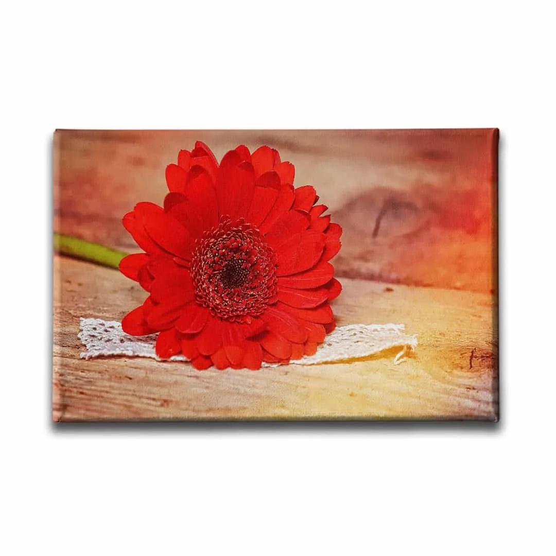 Cicek Manzara  Tablo