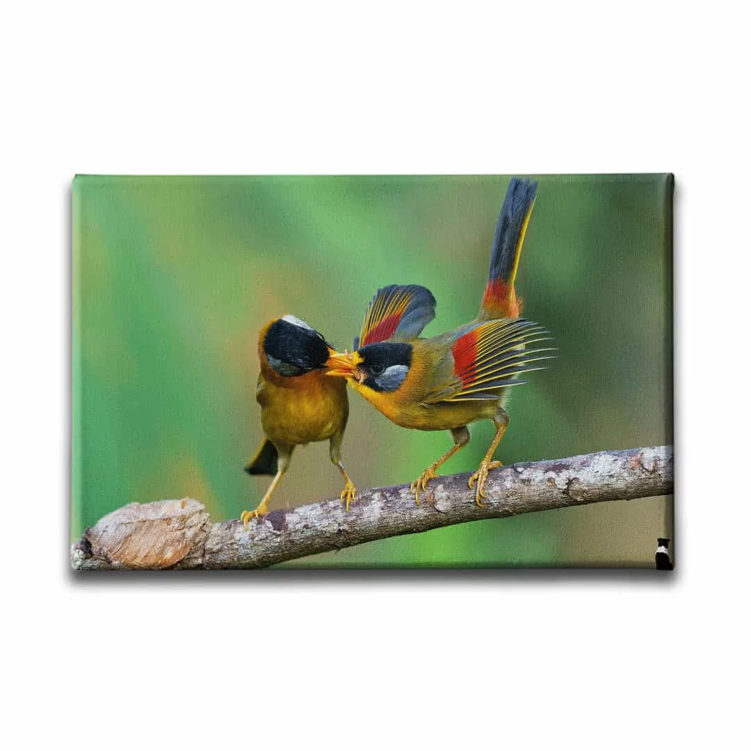 Iki Kus Kanvas Tablo