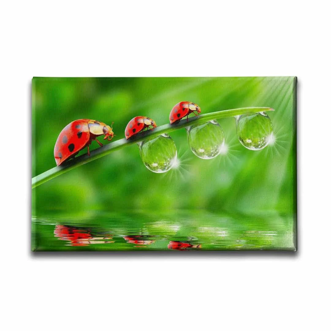 Ugur Bocegi Kanvas Tablo