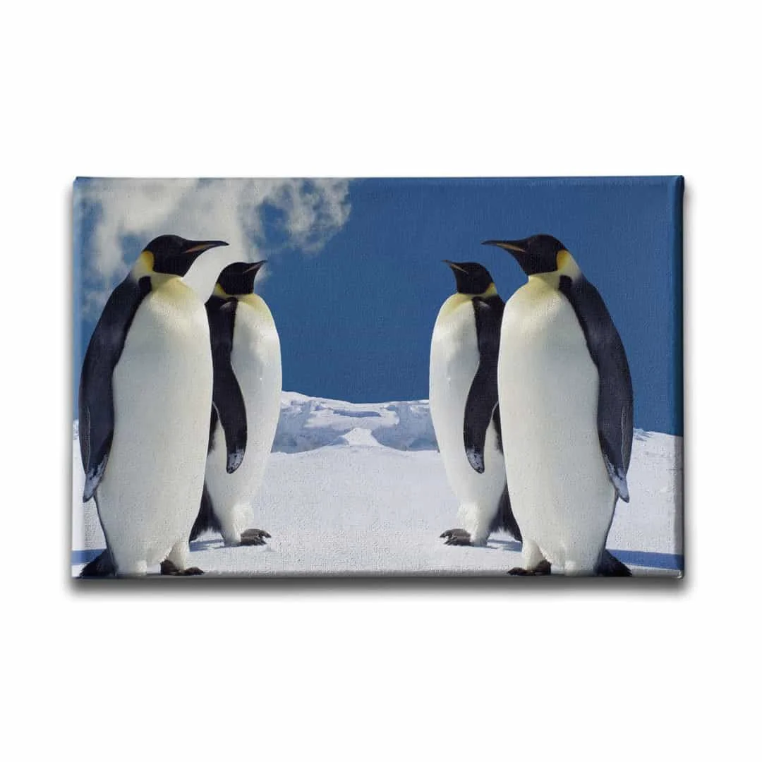 Penguen Kanvas Tablo
