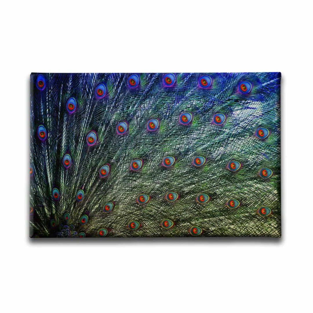 Tavus Kusu Kanvas Tablo