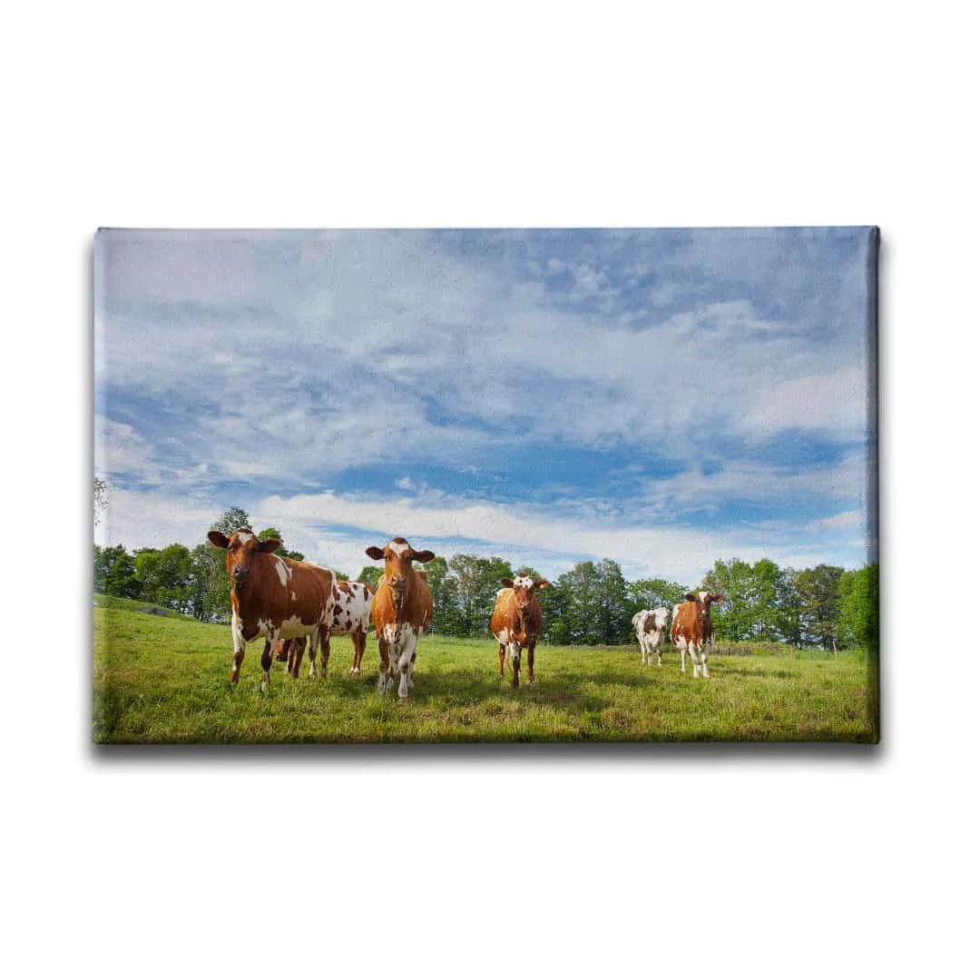 Inekler Kanvas Tablo