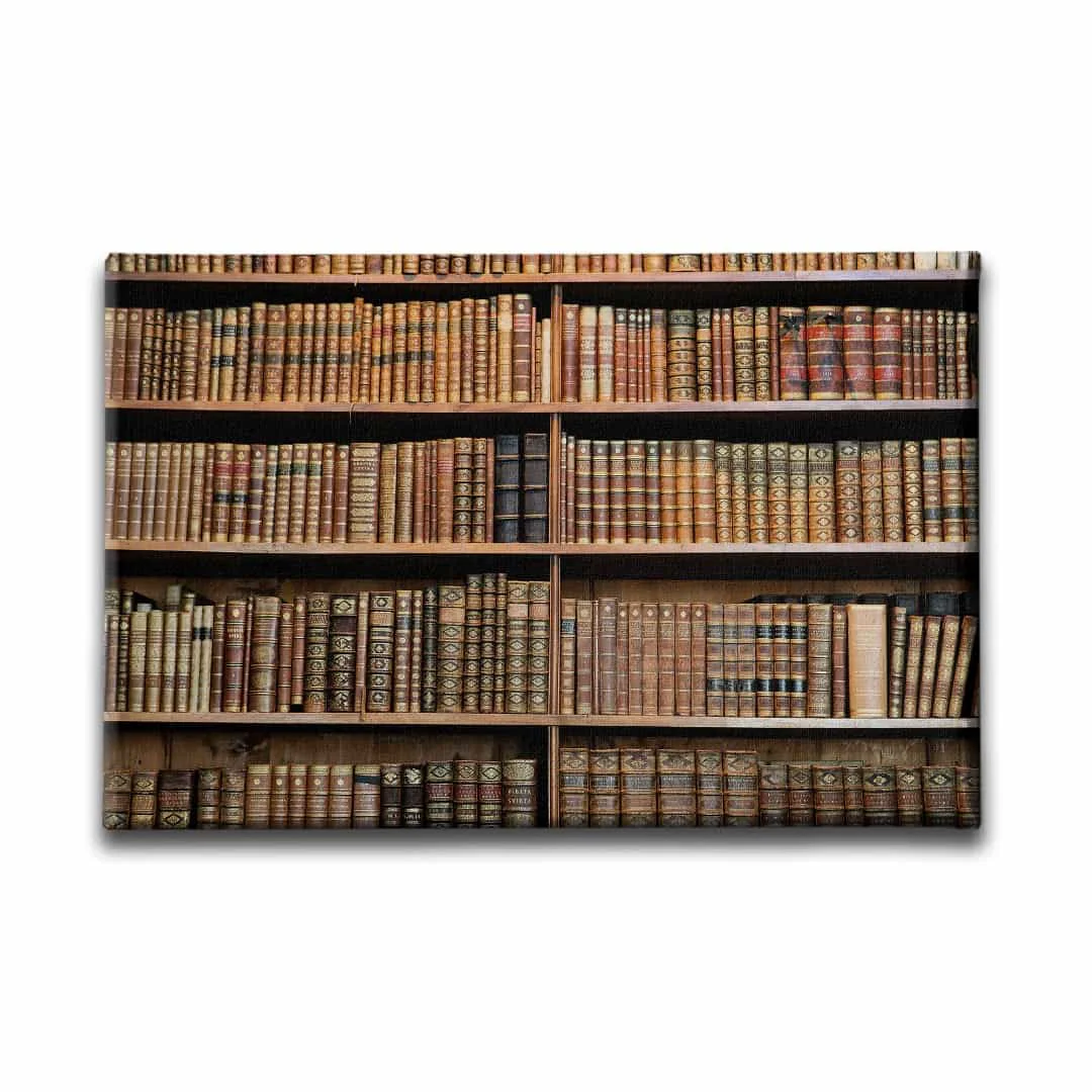 Kutuphane  Canvas Tablo