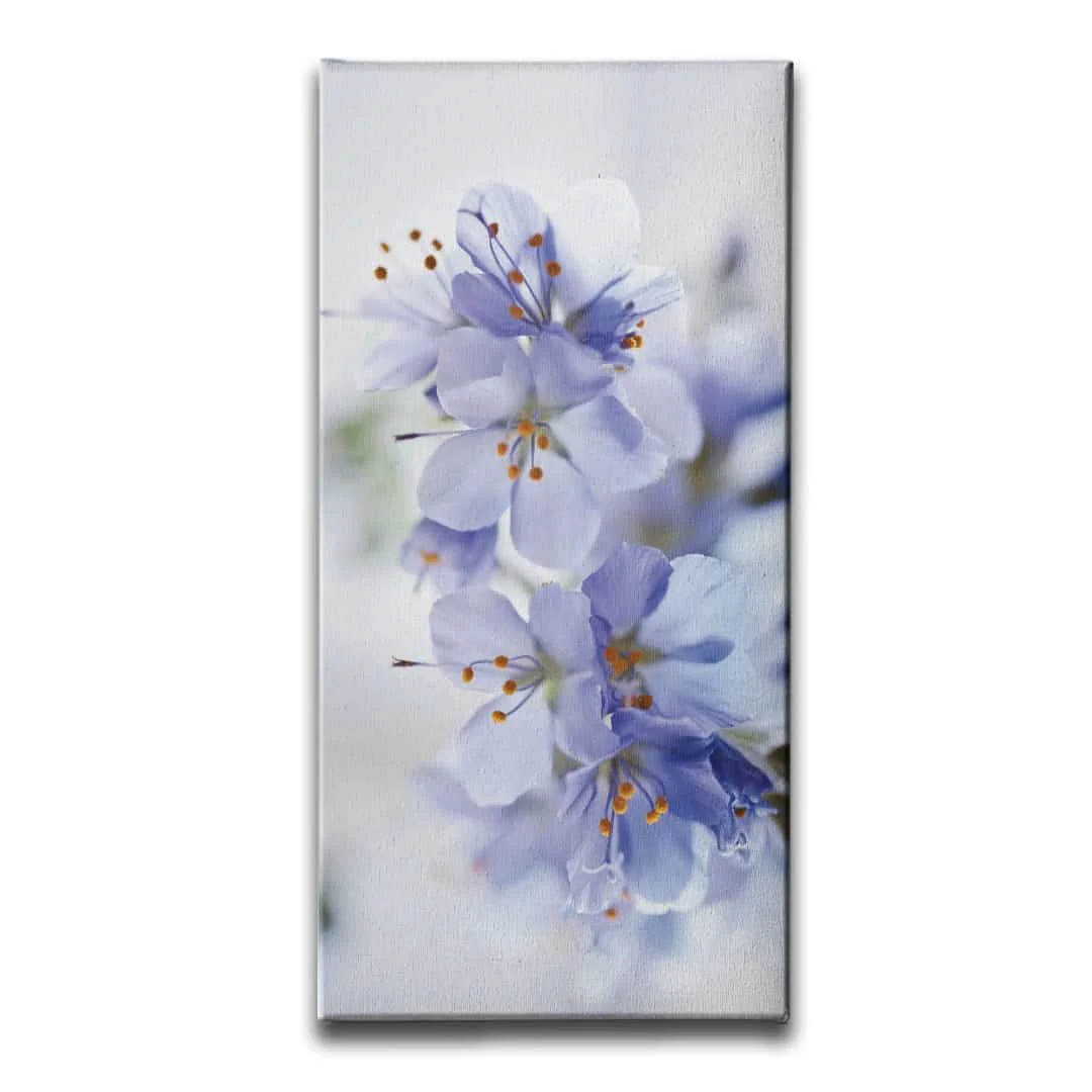 Kiraz Cicegi Kanvas Tablo